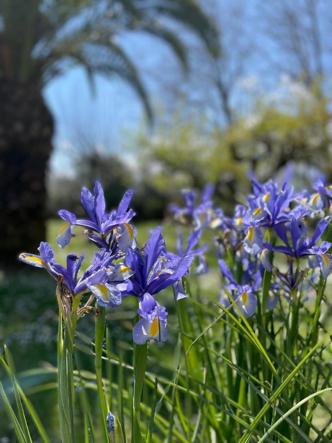 B & B Casal Pereto Valmontone Kültér fotó
