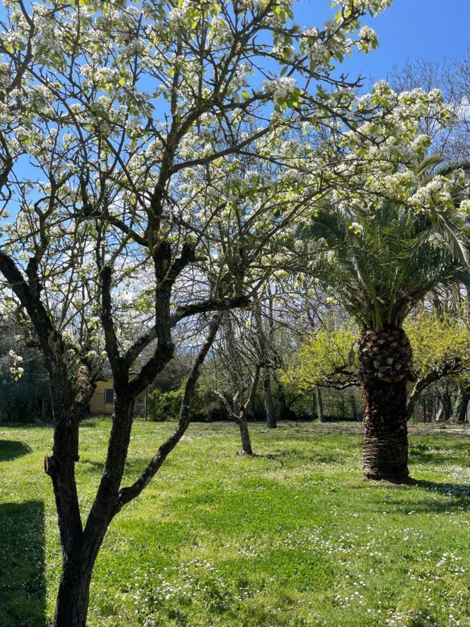 B & B Casal Pereto Valmontone Kültér fotó